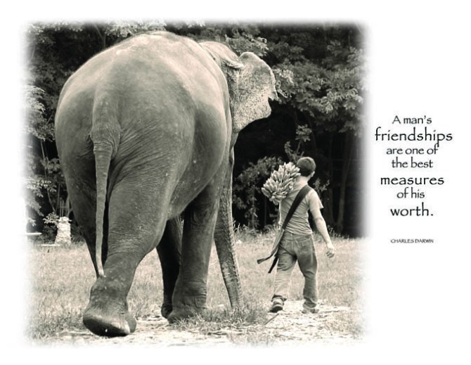 Postcard - A Man's Friendships