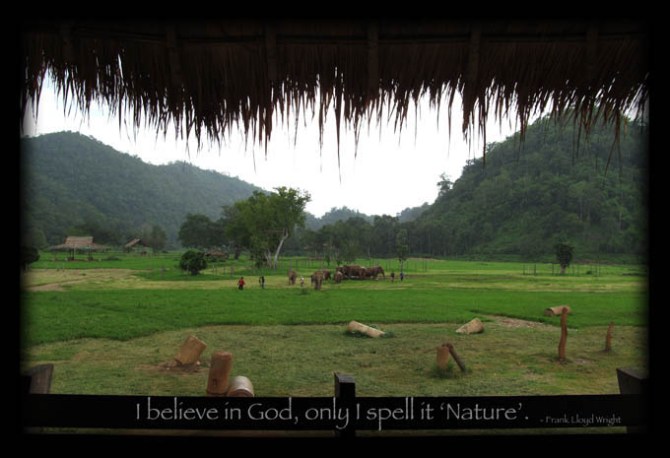 Postcard - I Believe in God. Elephant Nature Park, Chiang Mai, Thailand. 