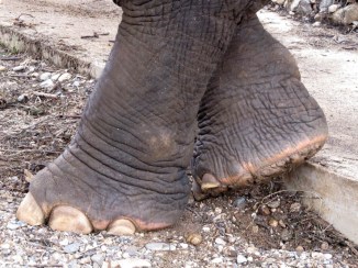 Try having one of these very close to your own...