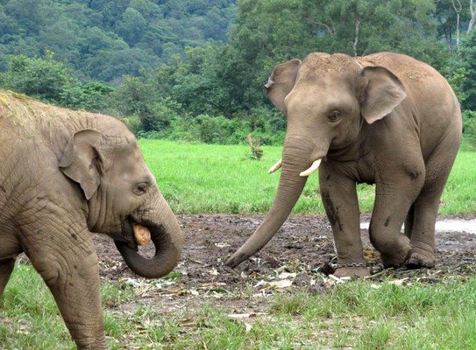 Faa Mai shows Jungle Boy her stolen goods.