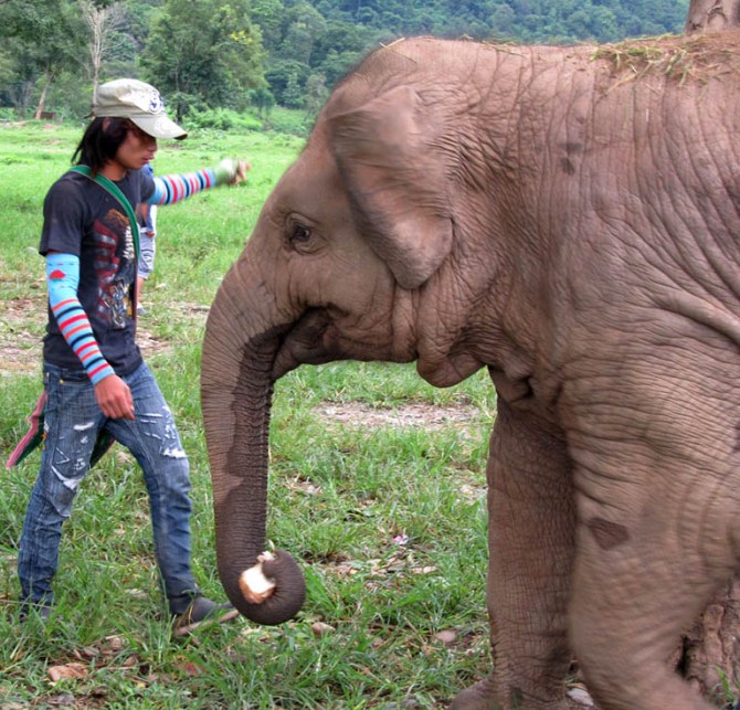 Faa Mai being told off for stealing food. 