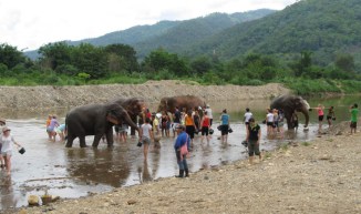 Little humans with buckets swarming at the Drive In Ele Wash. Elephant Nature Park, Chiang Mai, North Thailand.