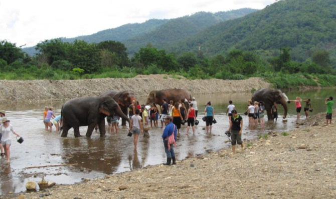 Little humans with buckets swarming at the Drive In Ele Wash. Elephant Nature Park, Chiang Mai, North Thailand.