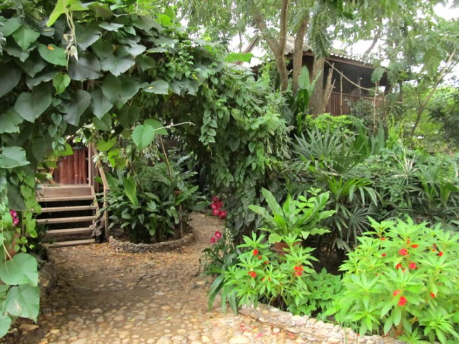 Some of the beautiful gardens at Elephant Nature Park.
