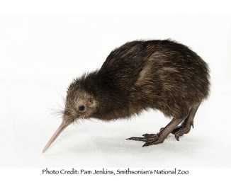 I can't fly - please don't throw me off that cliff...