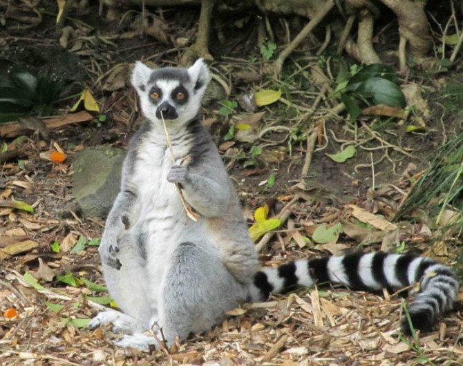 See what I mean about that mad schoolteacher thing?