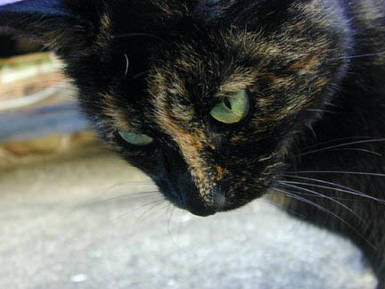 I really want to touch you but you're icky and sticky...