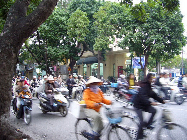 You can't seriously tell me that being around a few elephants is more dangerous than trying to drive in this!