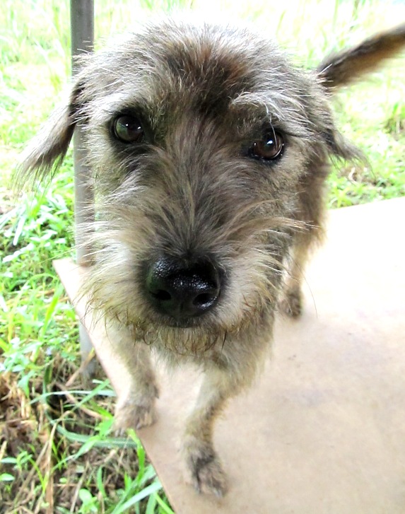 ???????????????????????????????