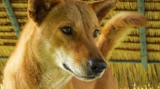 ???????????????????????????????