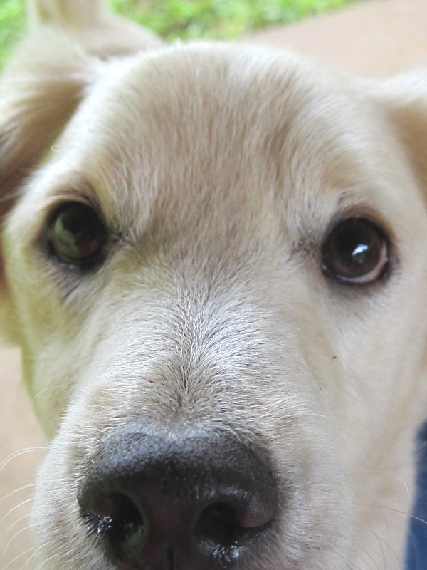 ???????????????????????????????