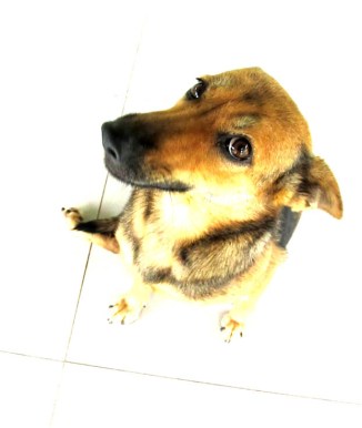 Scratch my neck. Gowonnnn, you know you want to...