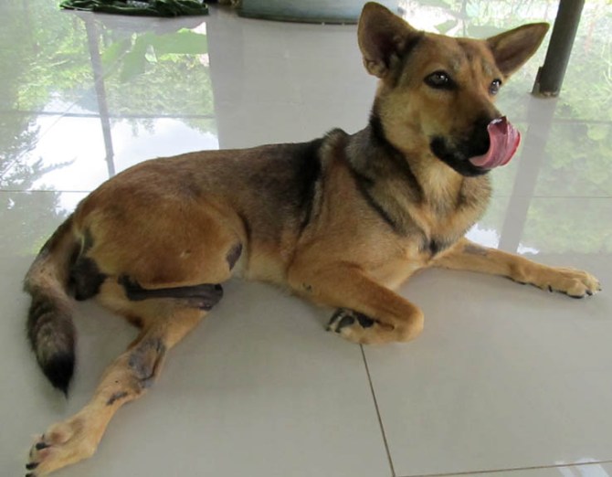 Did someone say dinner was ready?