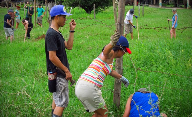The great barbed wire battle. But don't worry, a coordinator will be on hand to mock you...