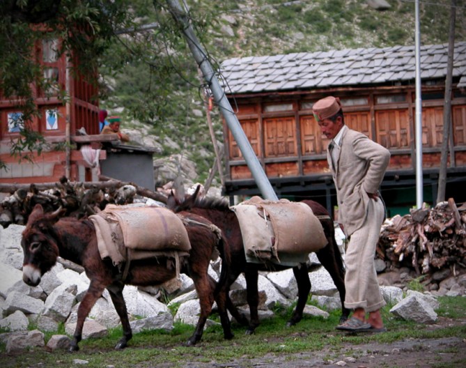 Donkey power and legs - the only form of transport in the village. This villager wears one of the beautifully-cut jackets favoured by the locals. 