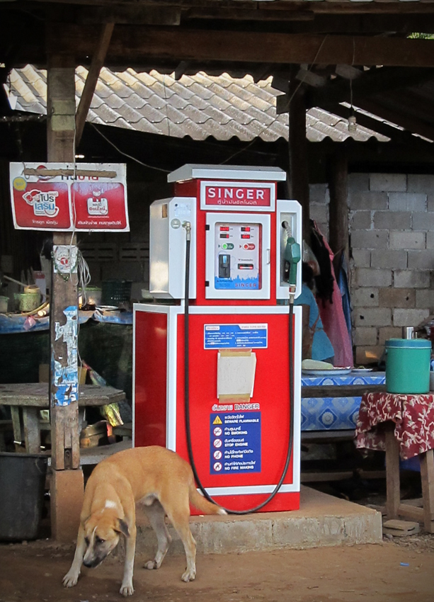 A local dog at the gas pump. Probably pulled in to fill up his motorbike.