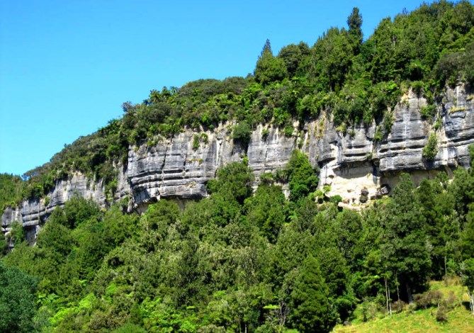 Cliff formations, on the road to Taranaki, North Island, New Zealand.