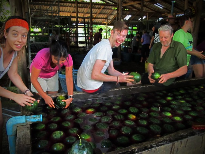 Melon washers - laughing in the face of tedium.