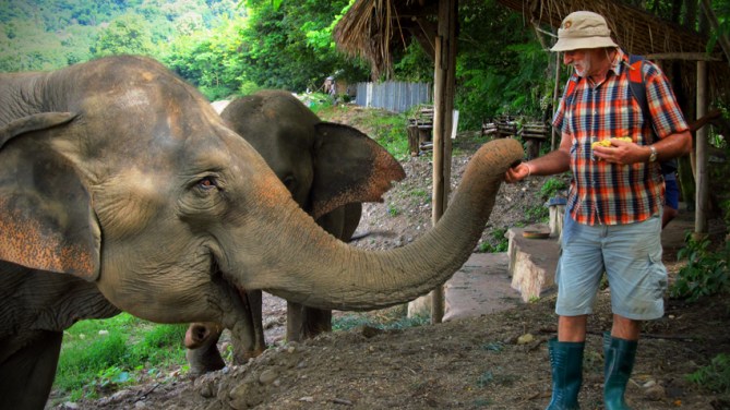 An Australian of particular interest to a banana-hoover. 