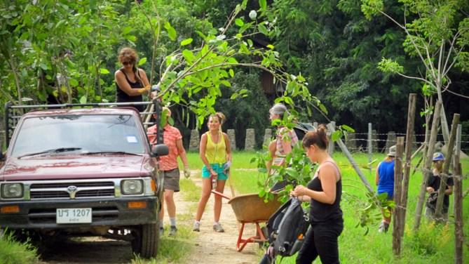 Unloading the ute. Future elephant fodder?