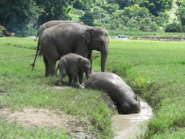 vlcsnap-2013-11-15-22h48m23s140