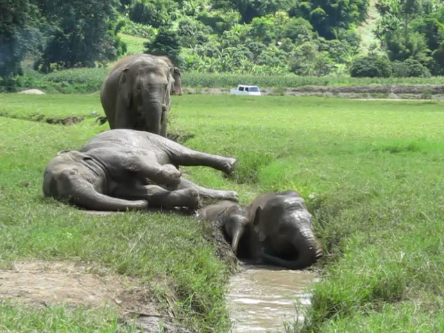 vlcsnap-2013-11-15-22h49m45s226