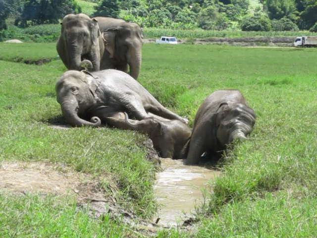 vlcsnap-2013-11-15-22h50m16s8