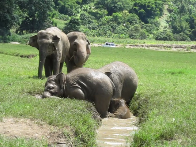 vlcsnap-2013-11-15-22h51m37s71