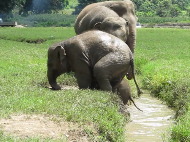 vlcsnap-2013-11-15-22h53m01s111