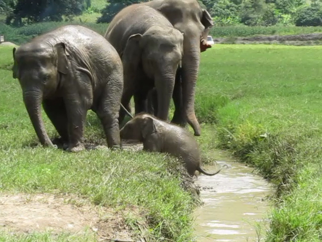 vlcsnap-2013-11-15-22h53m39s14