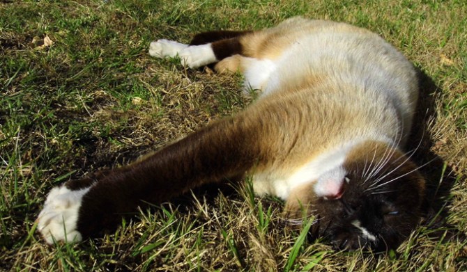 Awwww, that's, that's, awwww.......