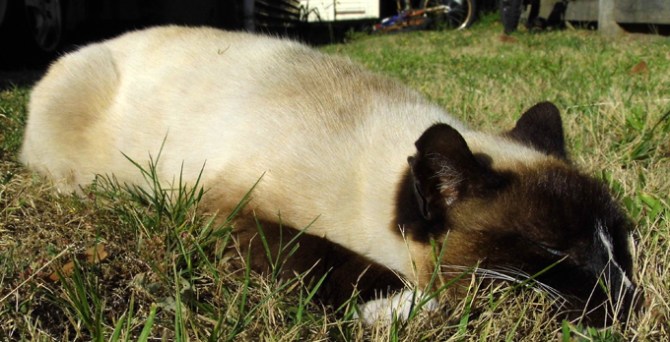 Mmmmmnnn mmmffmmmffff mmmmm