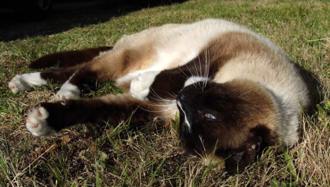 Myuh. Mmmffff. Can't get enough...