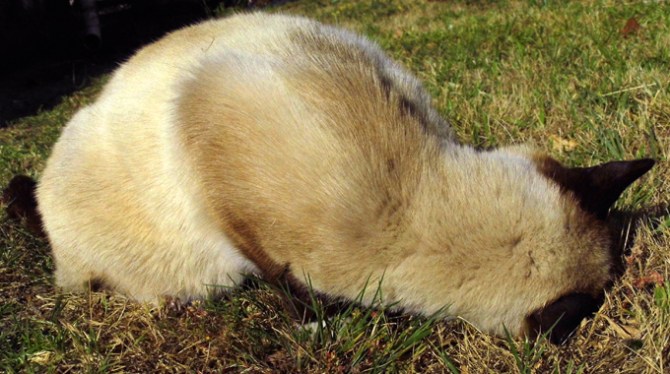 Just a little bit more on this bit...