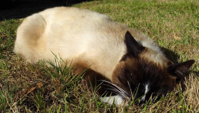 Mwahaha yessssssssssss....