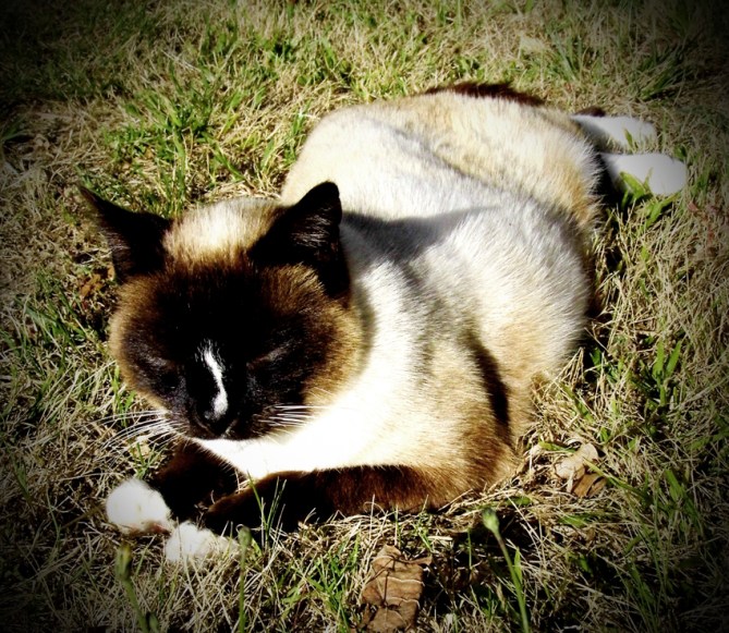 And he loved me for the rest of the minute!