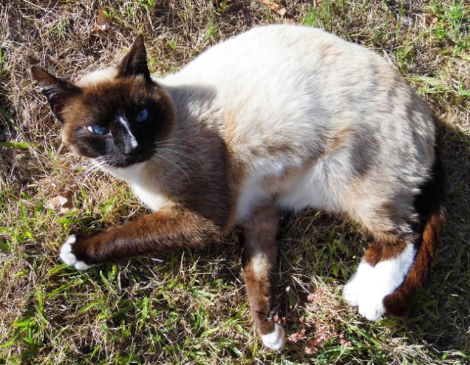 It's that stuff again, isn't it...?