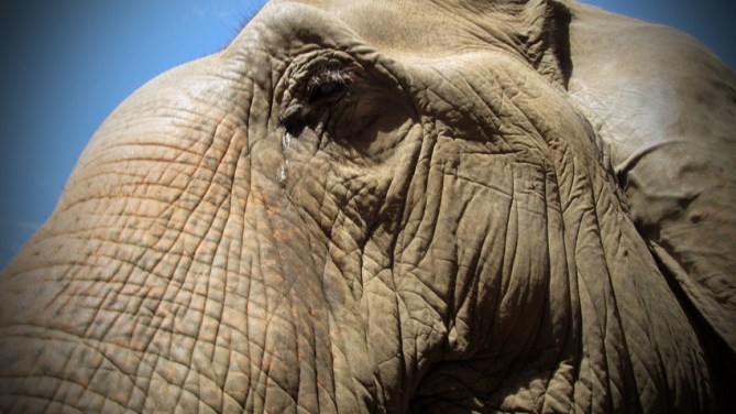 You all behave yourselves this year 'cos I WILL be watching.