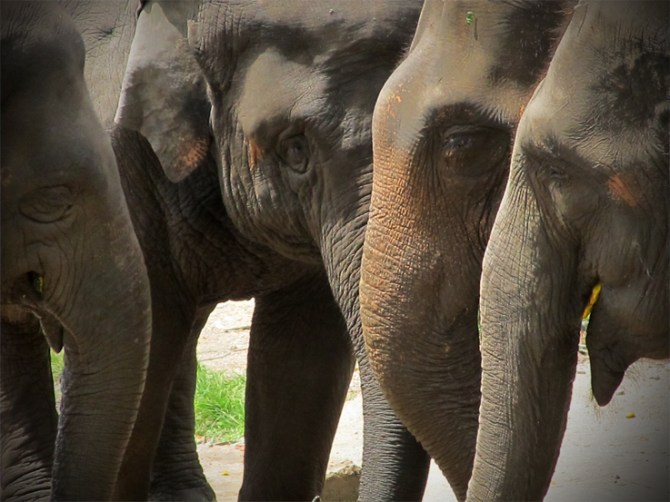 Gather ye around and I'll tell ye the latest...