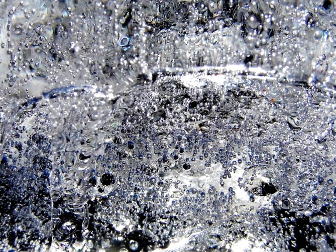 We'll start with the close-ups this time. 