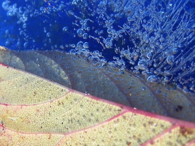 As I got closer and closer...