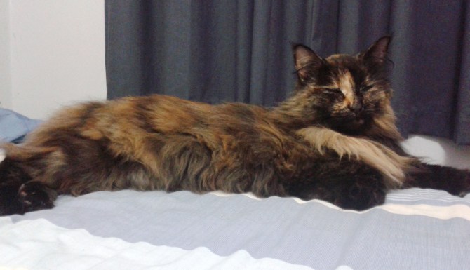 She will learn. I am in no hurry.