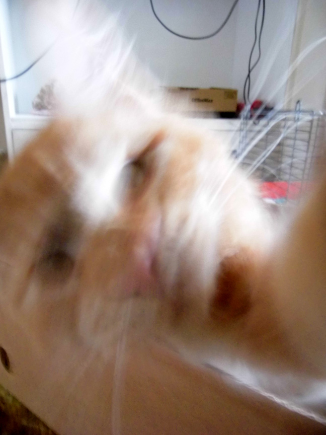 And I move very fast at all times. 