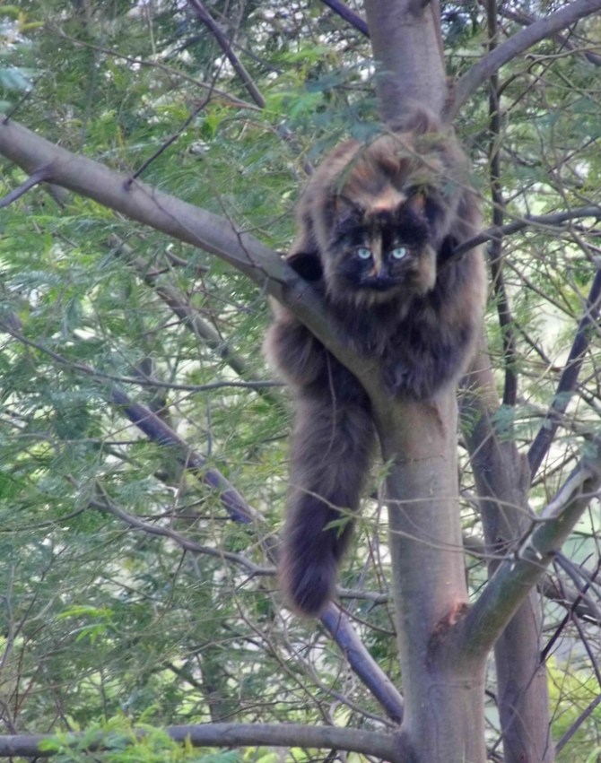 The look on her face in the zoom lens. 
