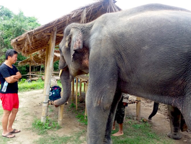 diamond-stole-watermelon