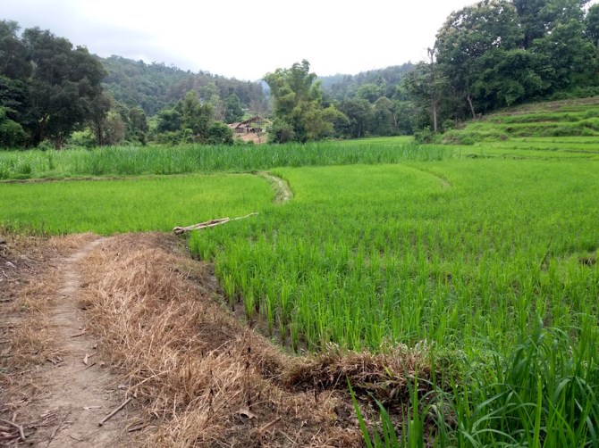 looking-back-at-camp