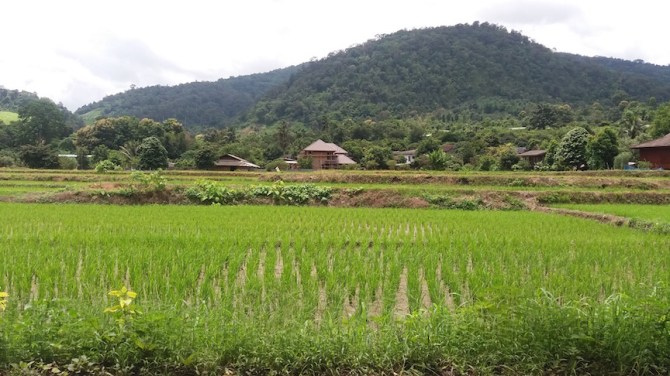 mountains-and-rice-paddies