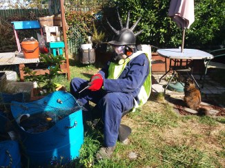 Fisherman 3 cat portal