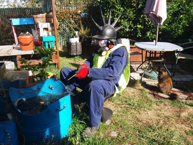 Fisherman 3 cat portal