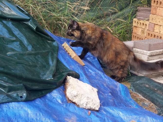 Smudge activates portal other end 1